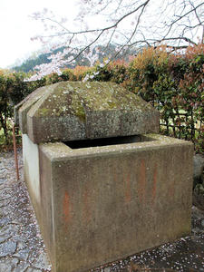 20100408_1386shuusei.jpg