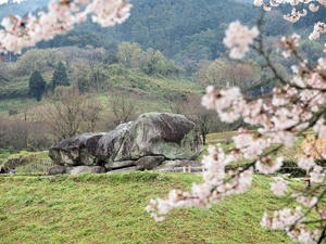 20100408_1389shuusei.jpg
