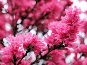20100408_1396shuusei.jpg