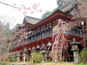 20100408_1414shuusei.jpg