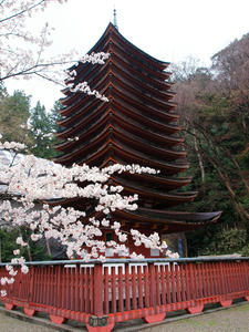 20100408_1428shuusei.jpg