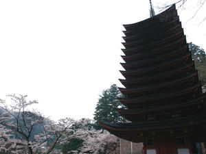 20100408_1437shuusei.jpg