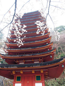 20100408_1443shuusei.jpg
