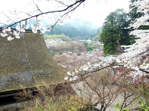 20100408_1446shuusei.jpg