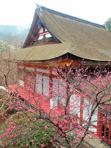 20100408_1466shuusei.jpg