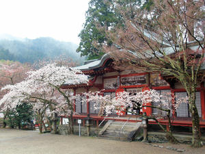 20100408_1471shuusei.jpg