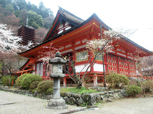 20100408_1479shuusei.jpg