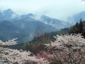 20100408_1496shuusei.jpg