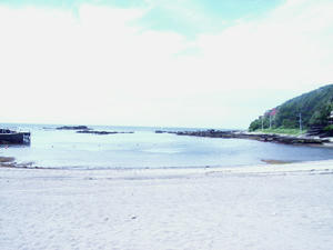 RIMG0164shuusei.jpg