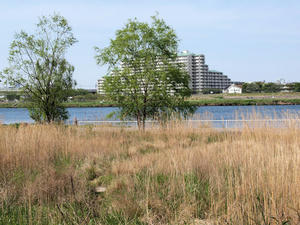 20100503_261shuusei.jpg