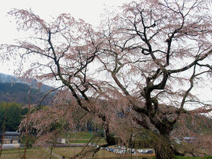 20100408_1540shuusei.jpg