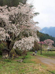 20100408_1556shuusei.jpg