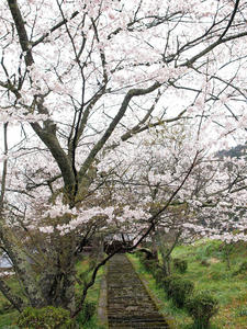20100408_1593shuusei.jpg