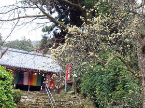 20100408_1607shuusei.jpg