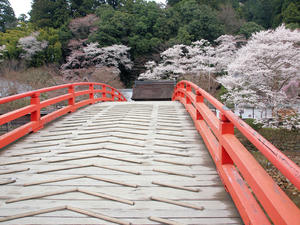 20100408_872shuusei.jpg