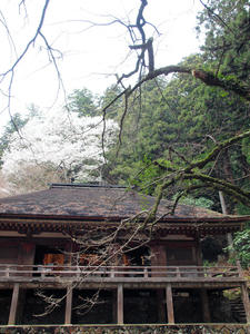 20100408_883shuusei.jpg