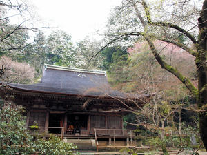 20100408_889shuusei.jpg