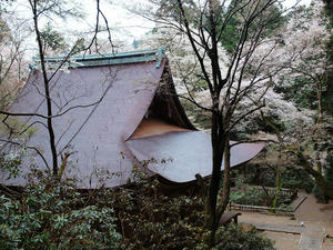 20100408_896shuusei.jpg