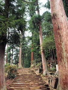 20100408_903shuusei.jpg