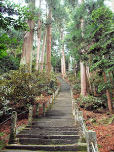 20100408_909shuusei.jpg