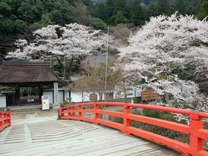 20100408_934shuusei.jpg