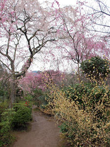 20100408_966shuusei.jpg