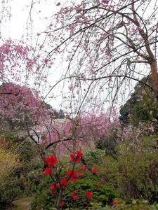 20100408_967shuusei.jpg