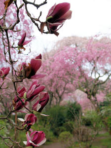20100408_974shuusei.jpg