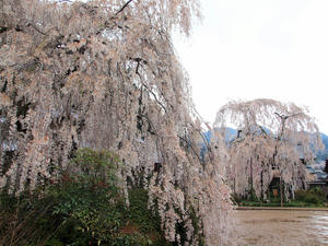 20100408_997shuusei.jpg
