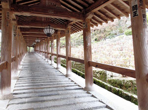 20100408_1027shuusei.jpg