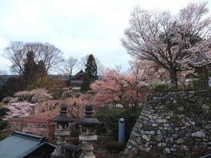 20100408_1018shuusei.jpg
