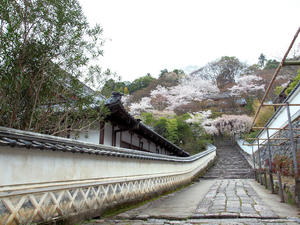20100408_1024shuusei.jpg
