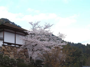20100408_1032shuusei.jpg
