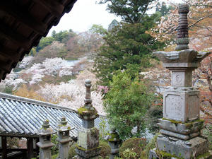 20100408_1047shuusei.jpg
