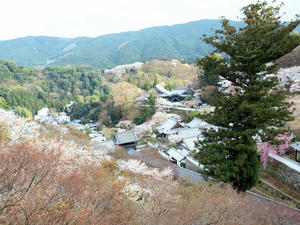 20100408_1057shuusei.jpg