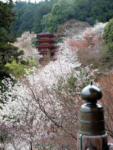 20100408_1061shuusei.jpg