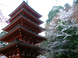 20100408_1070shuusei.jpg