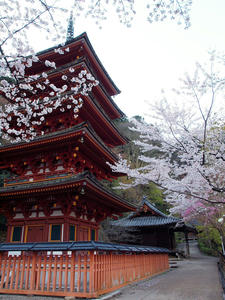 20100408_1080shuusei.jpg
