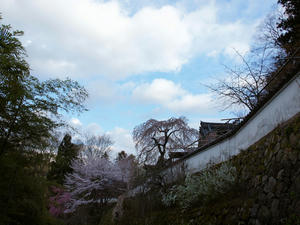 20100408_1103shuusei.jpg