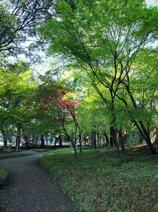 20100421_3shuusei.jpg