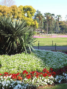 20100421_15shuusei.jpg