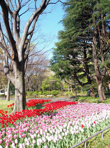 20100421_24shuusei.jpg