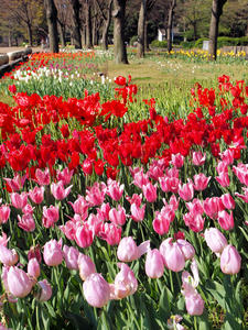 20100421_25shuusei.jpg