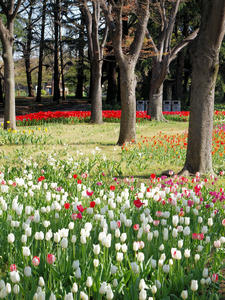 20100421_37shuusei.jpg