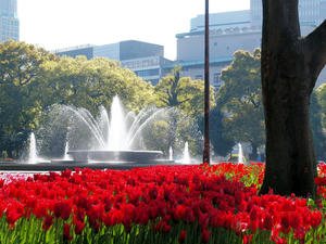 20100421_46shuusei.jpg