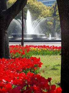 20100421_48shuusei.jpg