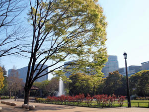 20100421_65shuusei.jpg