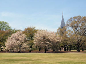 20100421_82shuusei.jpg