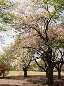 20100421_77shuusei.jpg
