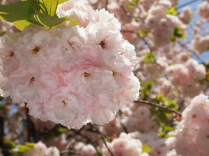 20100421_80shuusei.jpg